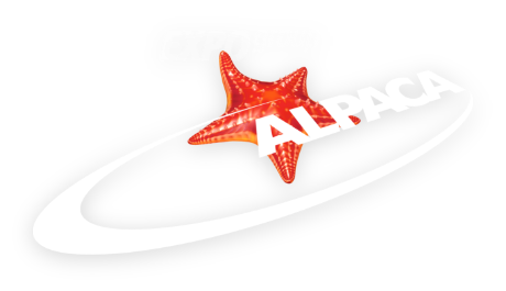 Alpaca Expo Group - Custom Exhibition Stands